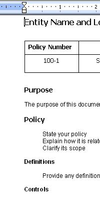 policies and procedures template